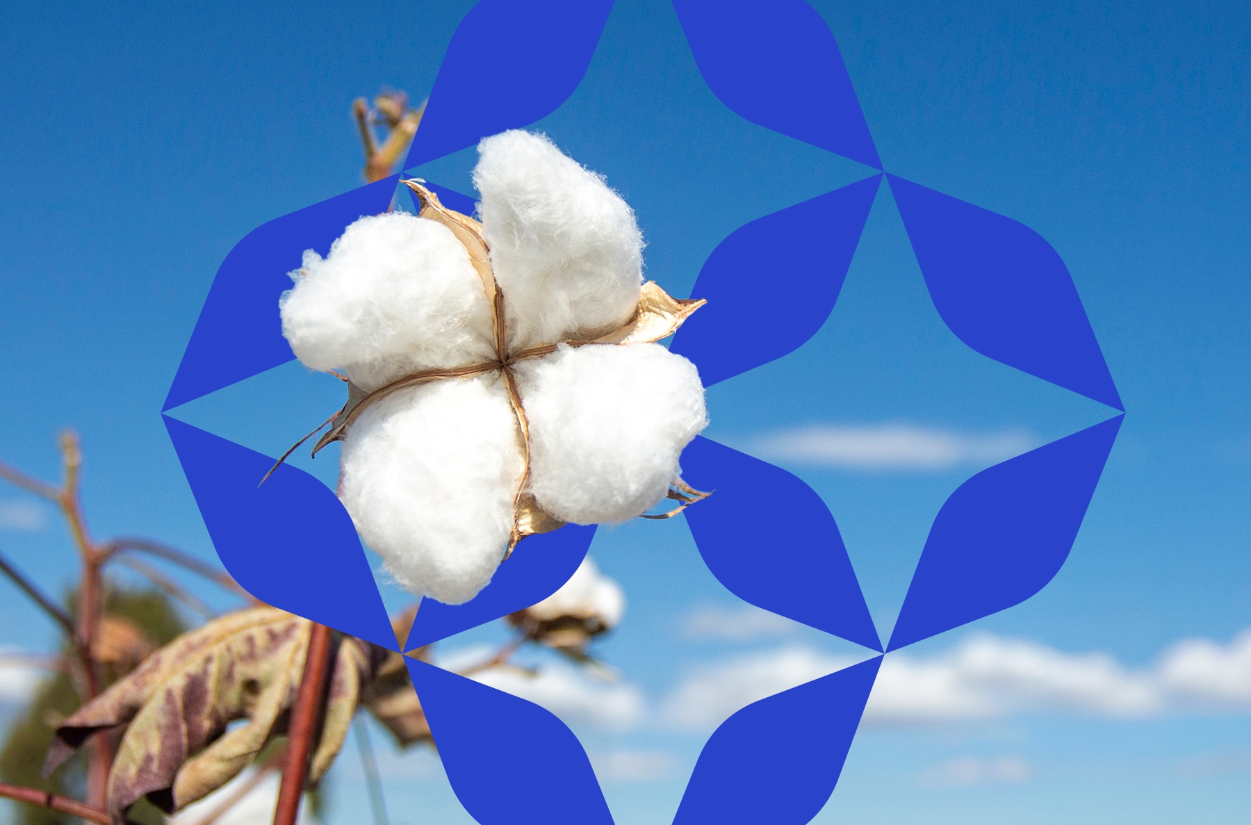 More Than a Towel, 
A Cultural Identity